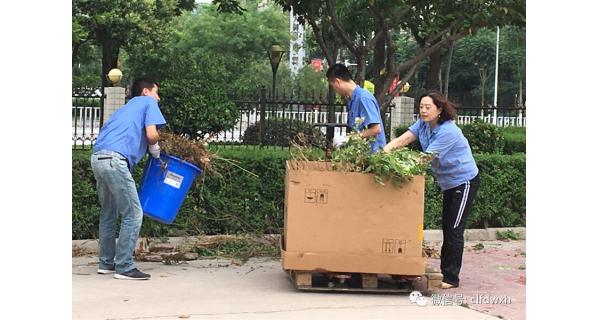 ▌长岭纺电新闻 ▌迎接国卫复审，长岭纺电在行动！ ——长岭纺电公司党总支组织爱卫义务劳动